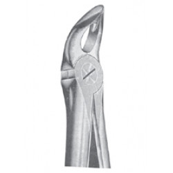 Fig. 2002