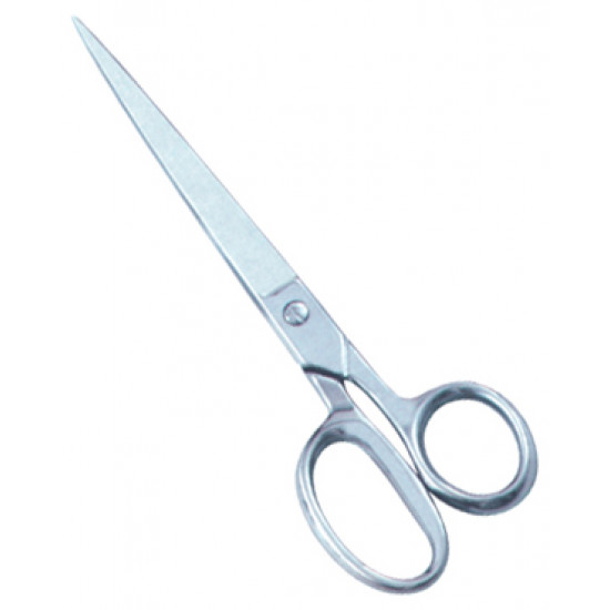 Taylor Scissor