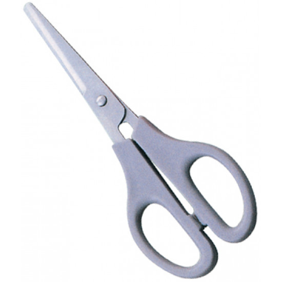 Plastic Handle Scissors