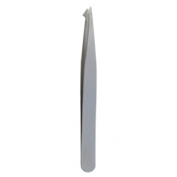 Forceps Notched