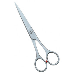 Barber Scissors