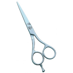 Barber Scissors