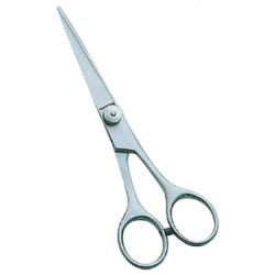 Barber Scissors