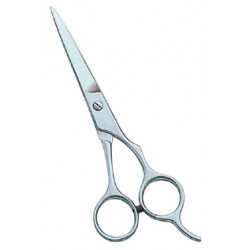 Barber Scissors