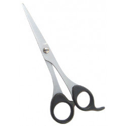 Barber Scissors