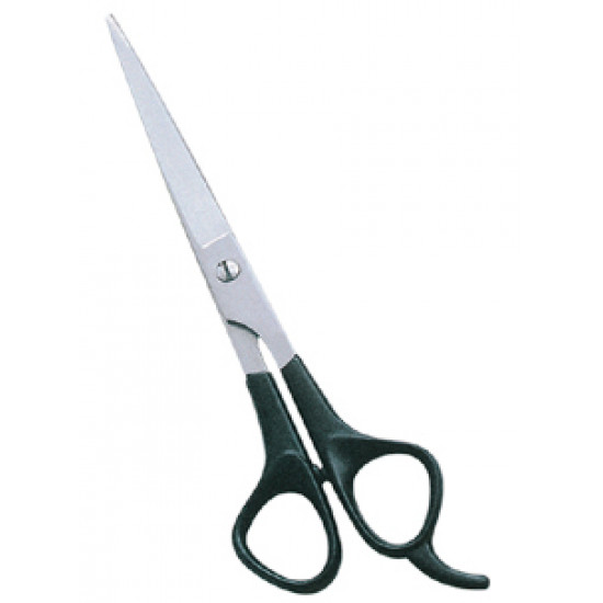 Barber Scissors