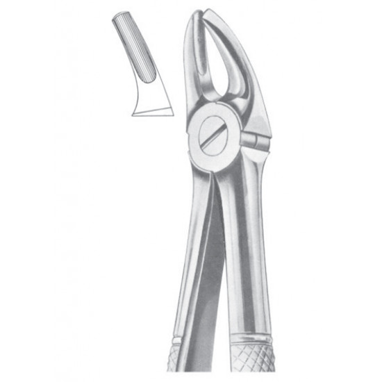  Fig. 7 upper premolars