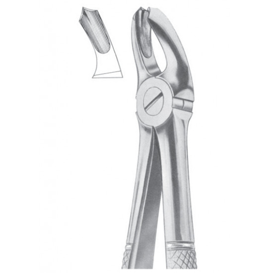 Fig. 18A upper molars