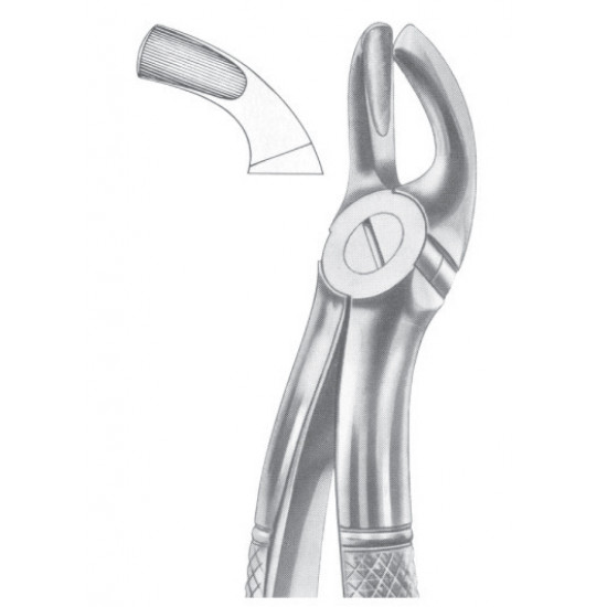 Fig. 19 upper third molars