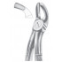 Fig. 19 upper third molars