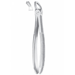 Fig. 20 upper third molars