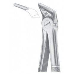  Fig. 31 lower roots