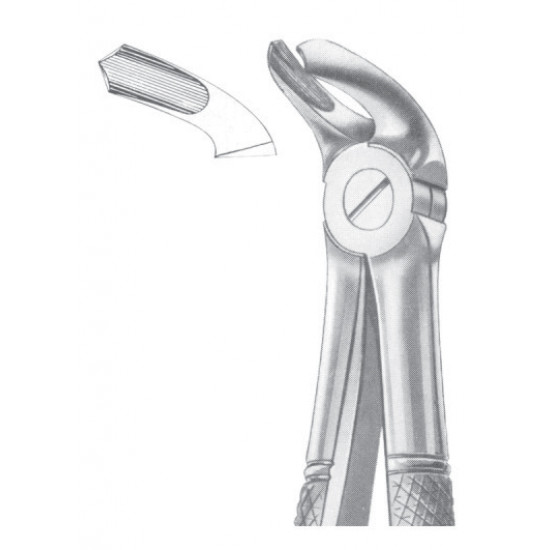 Fig. 40 lower molars for children