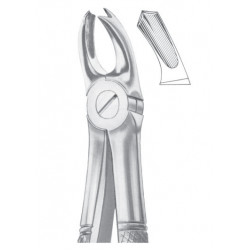  Fig. 65R upper molars right