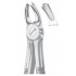  Fig. 65R upper molars right