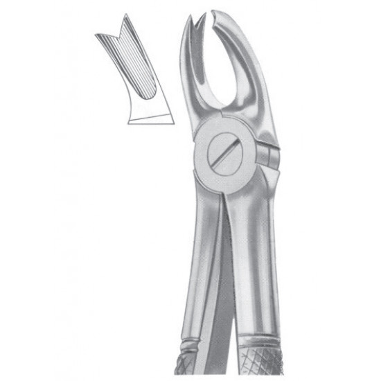  Fig. 65L upper molars left