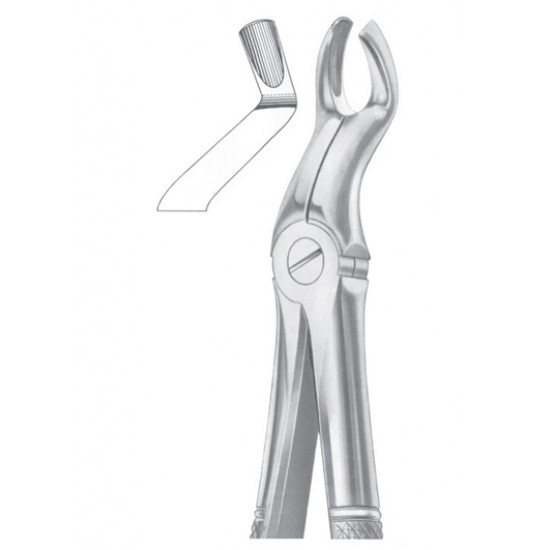  Fig. 67A upper third molars