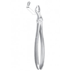 Fig. 67 �R upper third molars right