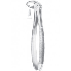  HERTZ (Fig. 211) lower incisors 