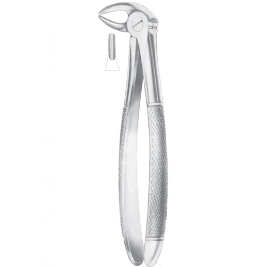  HERTZ (Fig. 211) lower incisors 