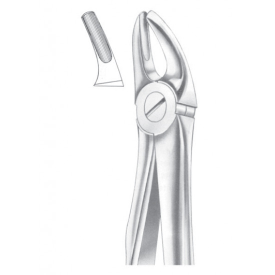 Fig. 7 upper premolars Fig. 7 upper premolars