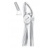 Fig. 7 upper premolars