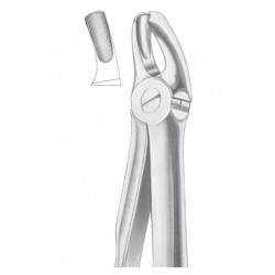  Fig. 18 upper molars left