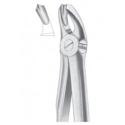  Fig. 18A upper molars