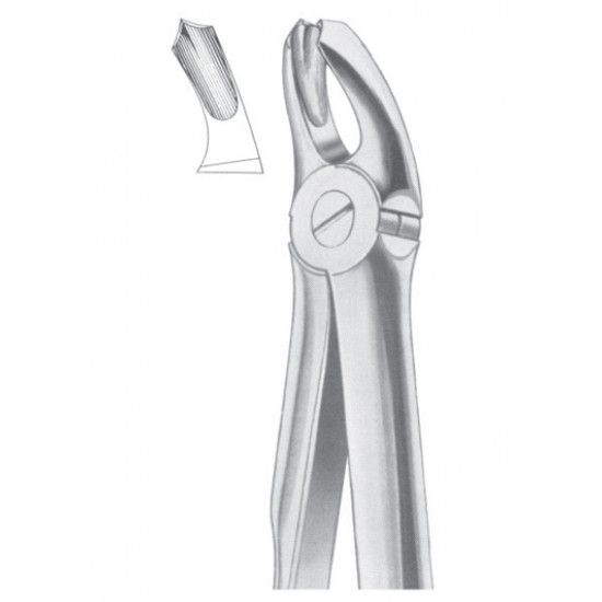  Fig. 18A upper molars