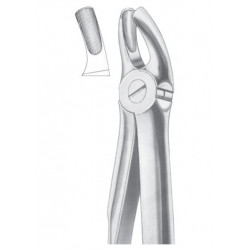  Fig. 18B upper molars