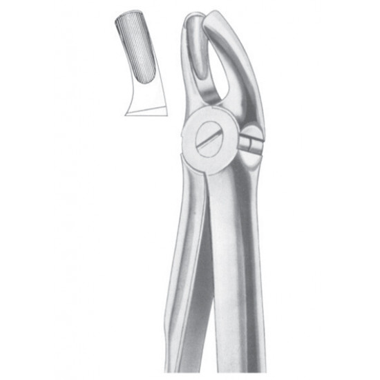  Fig. 18B upper molars