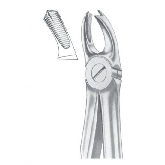  Fig. 65R upper molars right