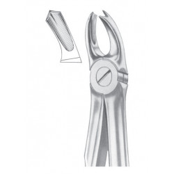  Fig. 65R upper molars right