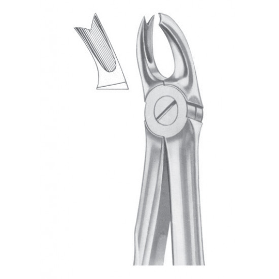  Fig. 65L upper molars left