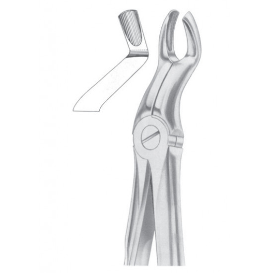  Fig. 67A upper third molars