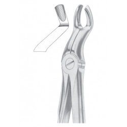  Fig. 67A upper third molars