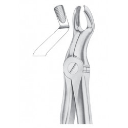 Fig. 67 � L upper third molars left