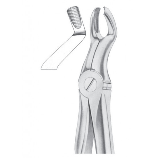 Fig. 67 � L upper third molars left