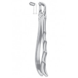  Fig. 79 lower third molars