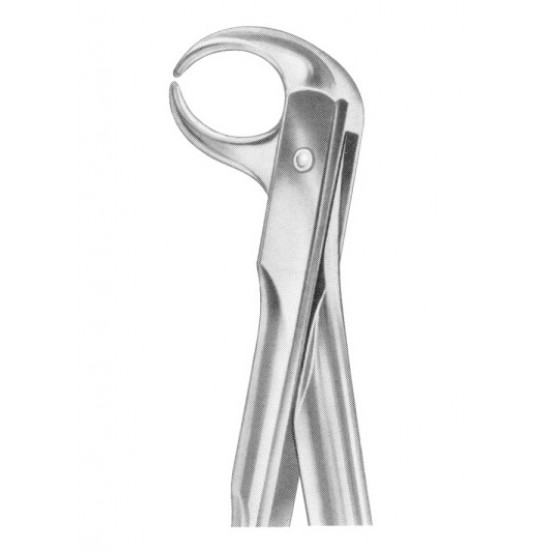 Fig. 86C lower molars Fig. 86C lower molars