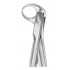 Fig. 86C lower molars