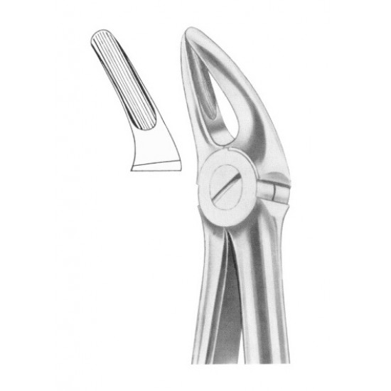  Fig. 136 upper premolars and roots