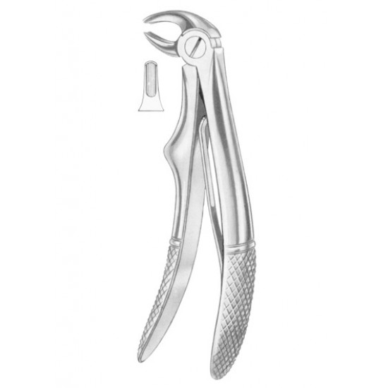  KLEIN (Fig. 221) lower incisors