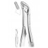 Fig. 4 upper and lower premolars