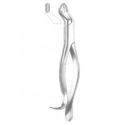  Fig. 10H upper molars