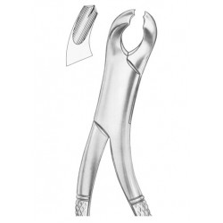  HARRIS Fig. 15 lower molars