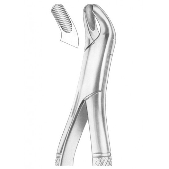  HARRIS Fig. 18L upper molars left