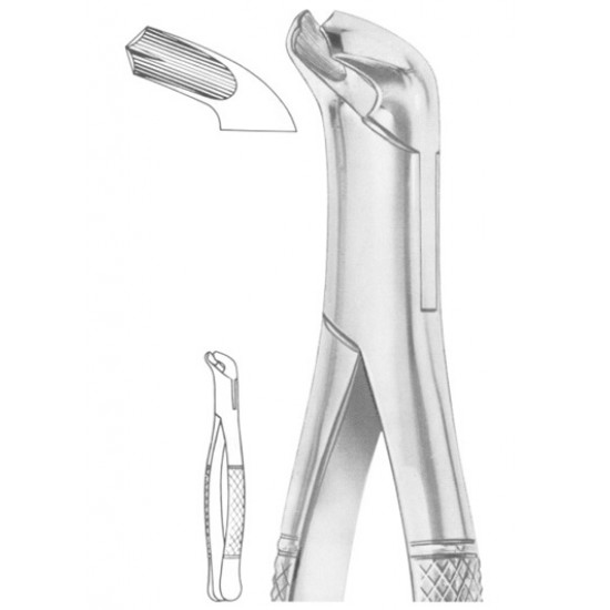  Fig. 17 lower molars