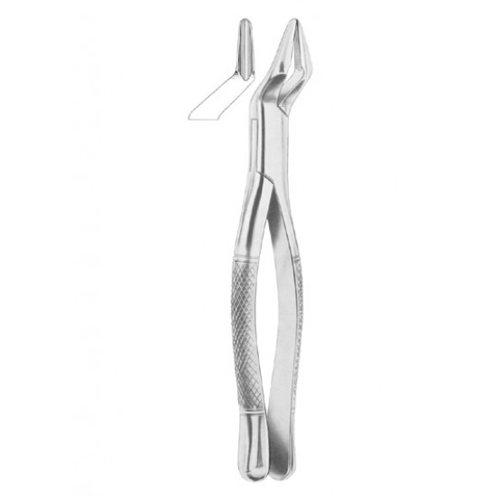  PARMLY Fig. 32 upper premolars and molars