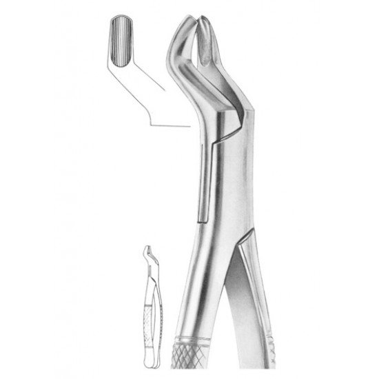  Fig. 53L upper molars left